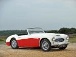 Austin-Healey 100-6 1956 года (UK)